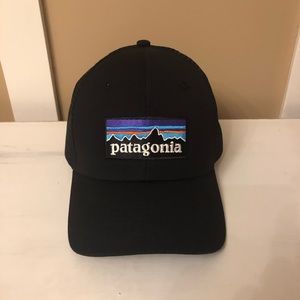 Patagonia trucker hat